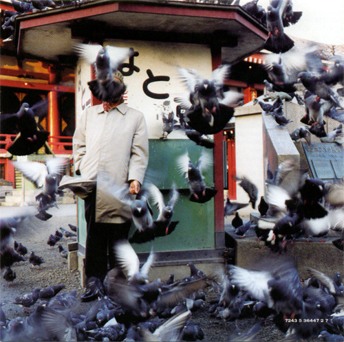 Madlib auditioning for The Birds III