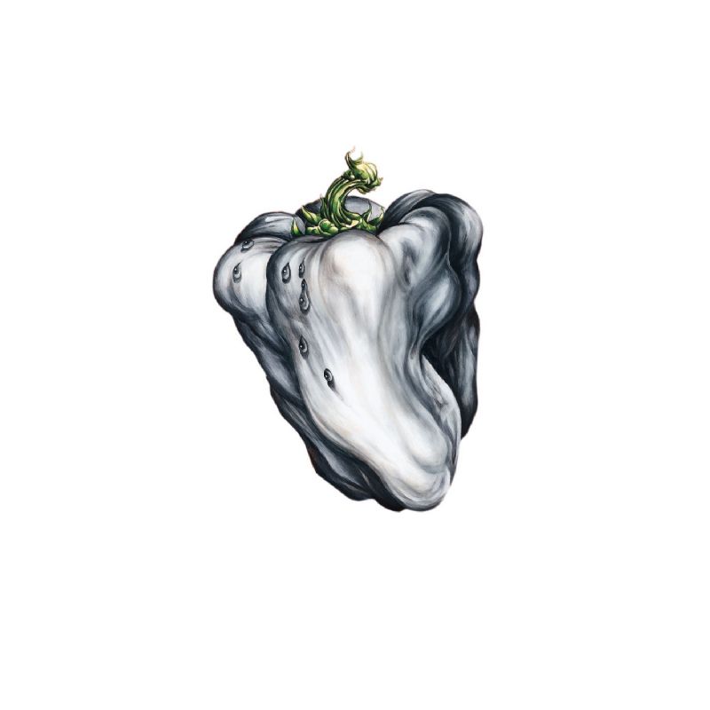 Ween - 'White Pepper' album cover