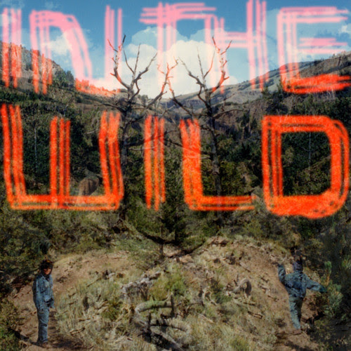 FaltyDL - 'In the Wild'