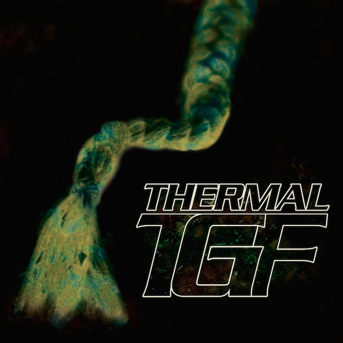 teengirl-fantasy-thermal copy