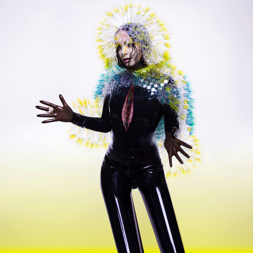 bjork-vulnicura-album-cover