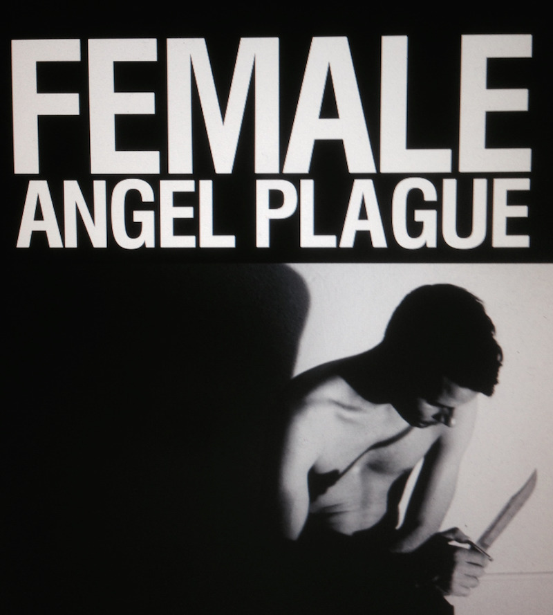 Female - 'Angel Plague' album cover