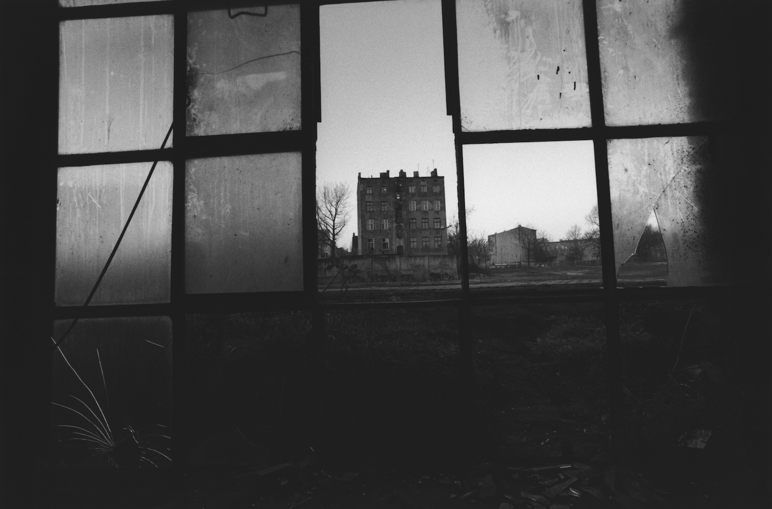 David Lynch's 'Factory Photographs'