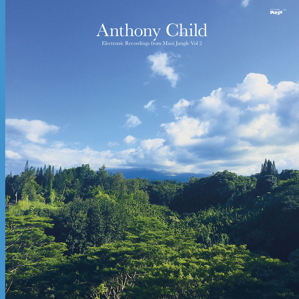 Anthony Child -  'Electronic Recordings from Maui Jungle Vol. 2' album cover