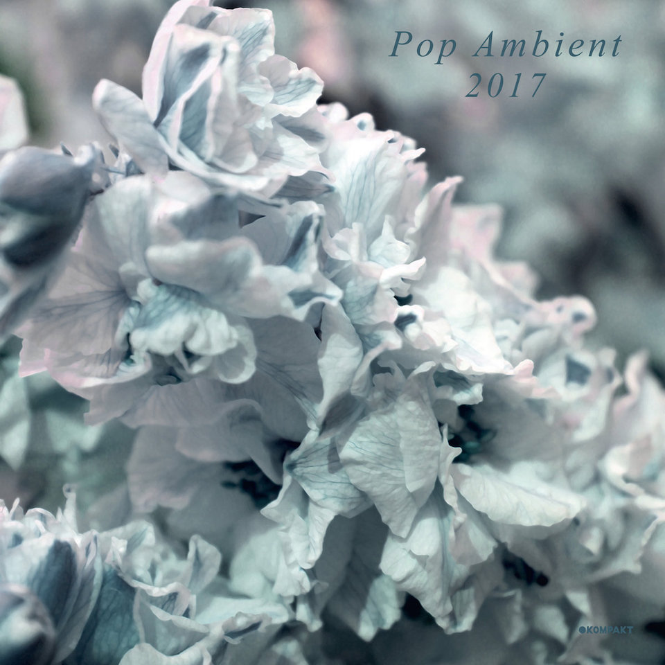 pop-ambient-2017