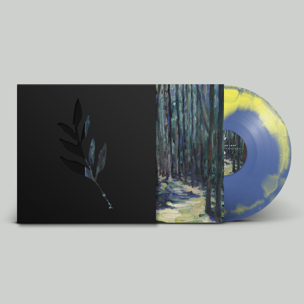 The Album Leaf vinyl reissues