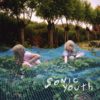 Sonic Youth - 'Murray Street'