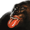 The Rolling Stones' new mascot Greg