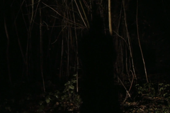 Gaspar Noe's Nick Cave & The Bad Seeds video