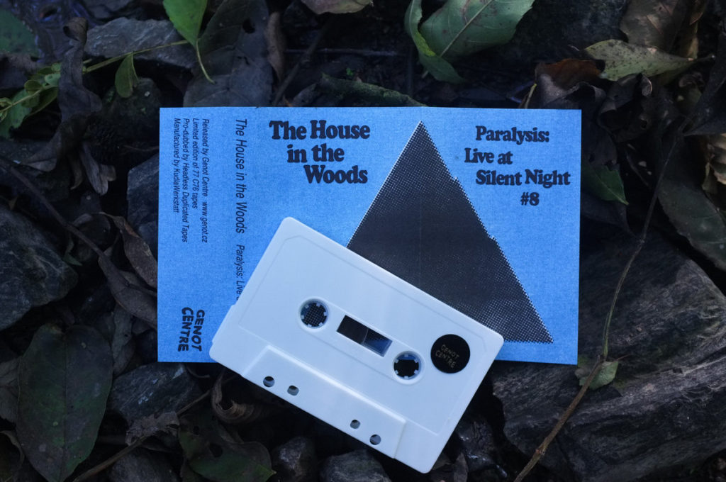 Pye Corner Audio as The House in the Woods | Paralysis tape