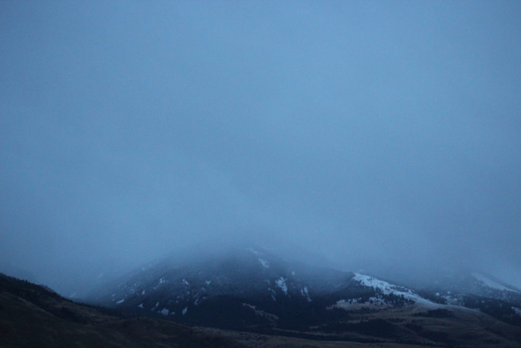 winter landscape