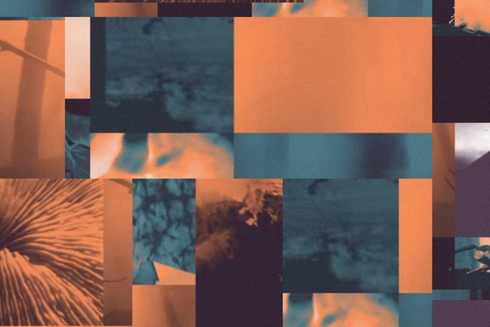 Hibernis "So What" single