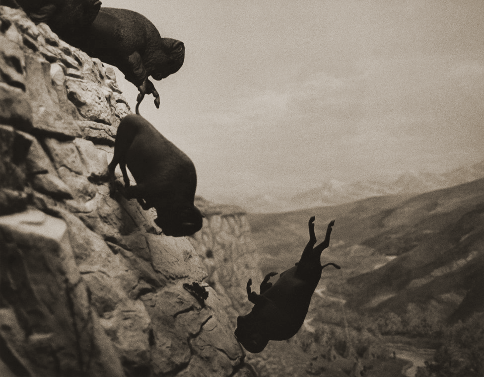 David Wojnarowicz Untitled (Buffaloes)