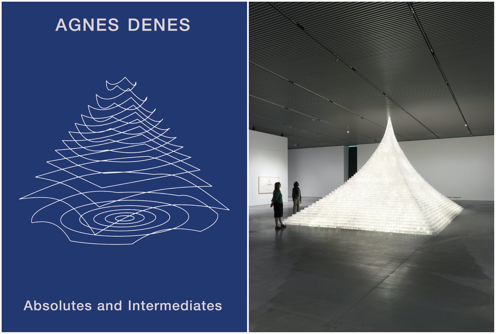 agnes-denes-exhibition